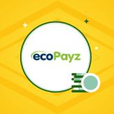 Casas de Apostas Online Ecopayz